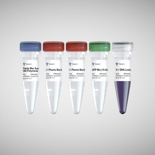 Phanta Max Super-Fidelity DNA Polymerase