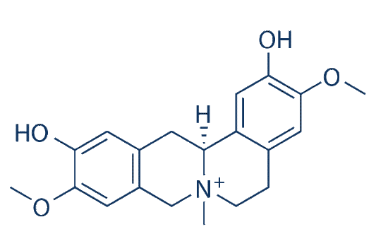 Phellodendrine