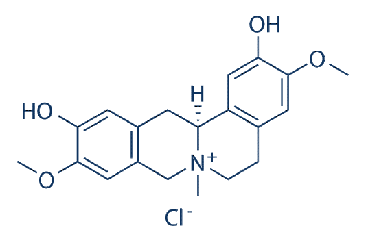 Phellodendrine chloride