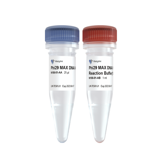 Phi29 MAX DNA Polymerase