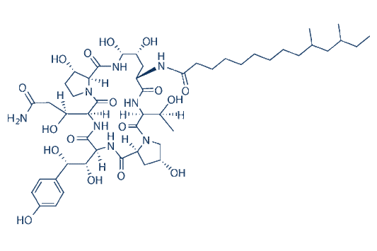 Pneumocandin B0