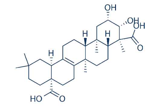Polygalic acid