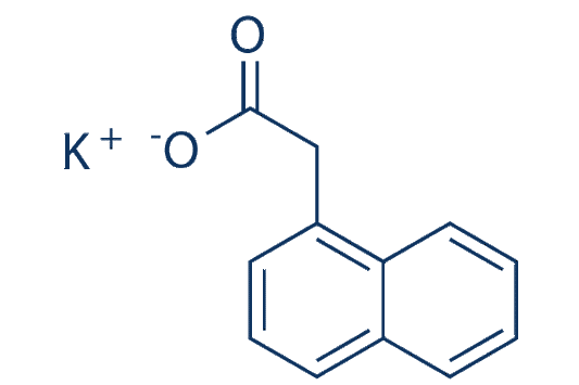 Potassium 1-Naphthaleneacetate