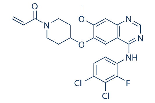 Poziotinib (NOV120101, HM781-36B)