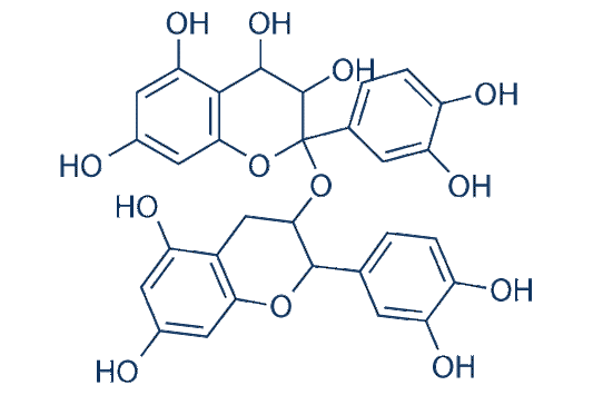 Proanthocyanidins