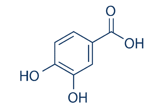 Protocatechuic acid