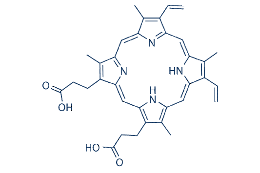 Protoporphyrin IX (PPIX)
