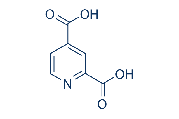 2,4-Pyridinedicarboxylic acid