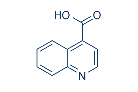 Quinoline-4-carboxylic acid
