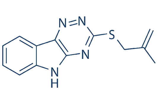 Rbin-1