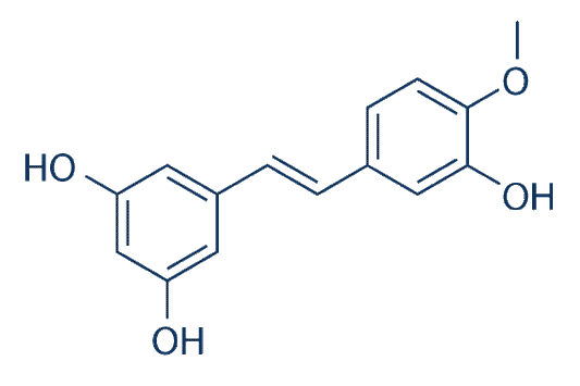 Rhapontigenin