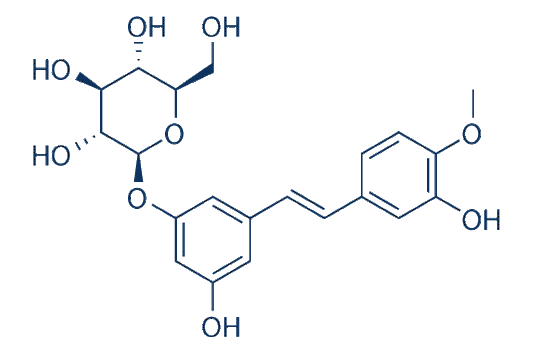 Rhapontin