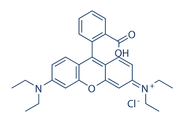 Rhodamine B