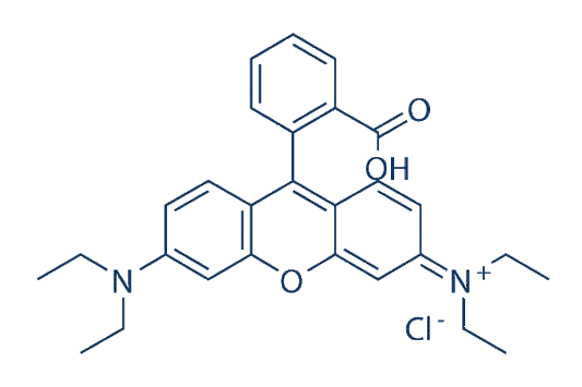 Rhodamine B