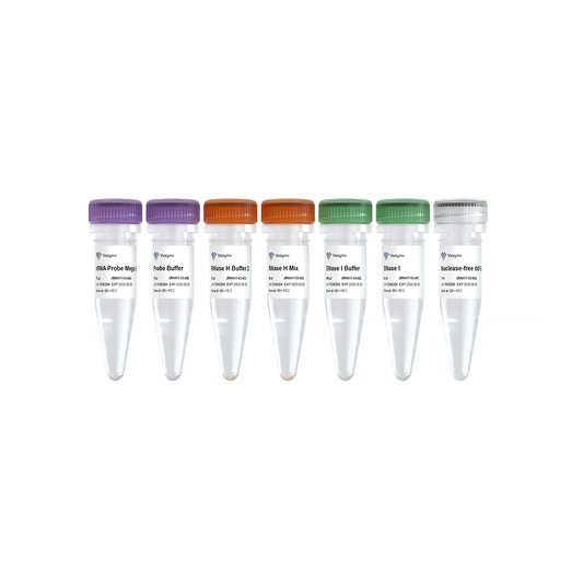 Ribo-clean rRNA Depletion Kit Mega (Bacteria)
