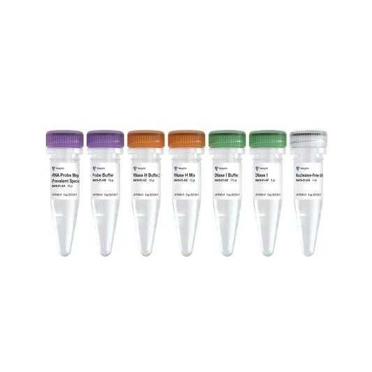 Ribo-clean rRNA Depletion Kit Mega (Prevalent Species)