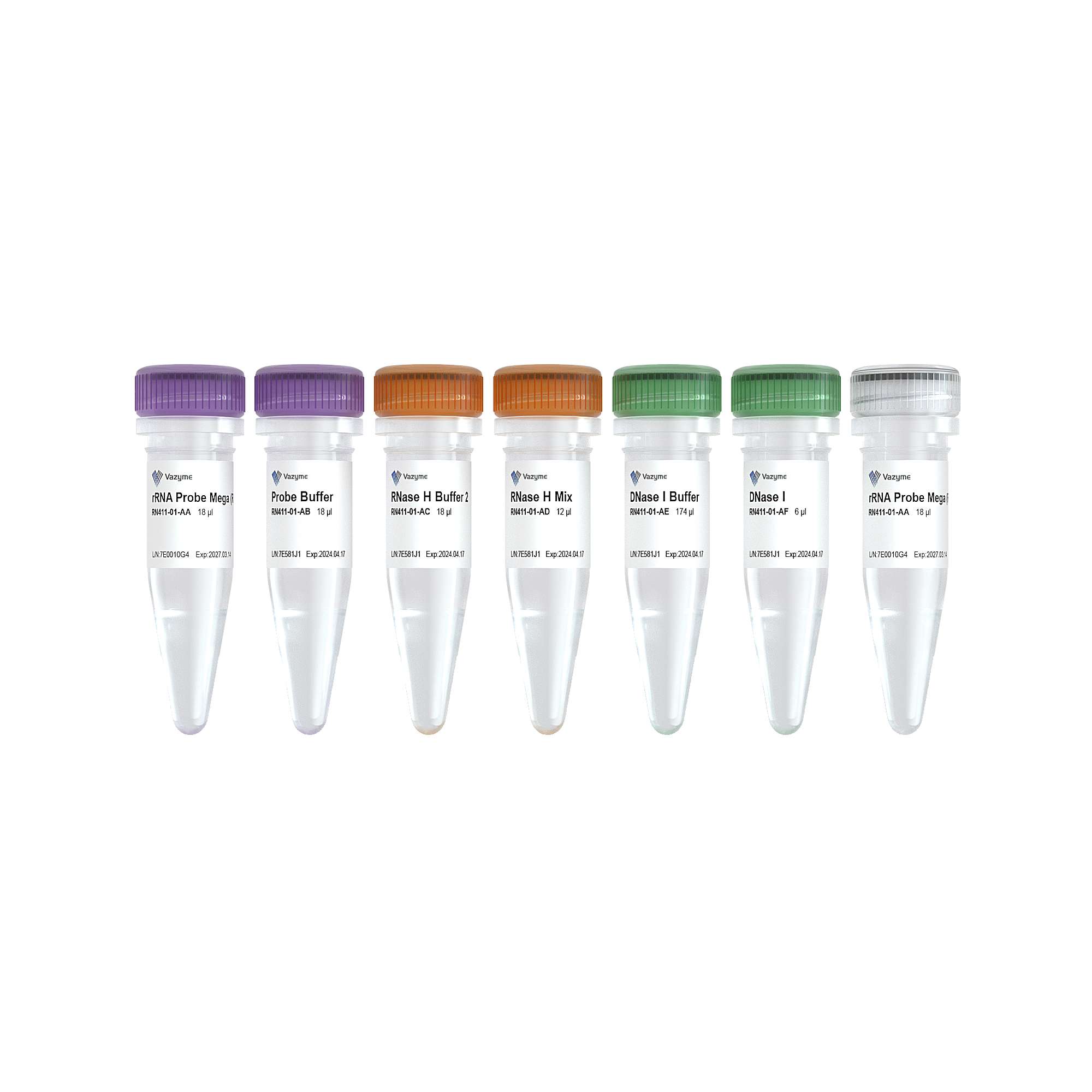 Absource Ribo-clean rRNA Depletion Kit Mega (R/M) | Absource