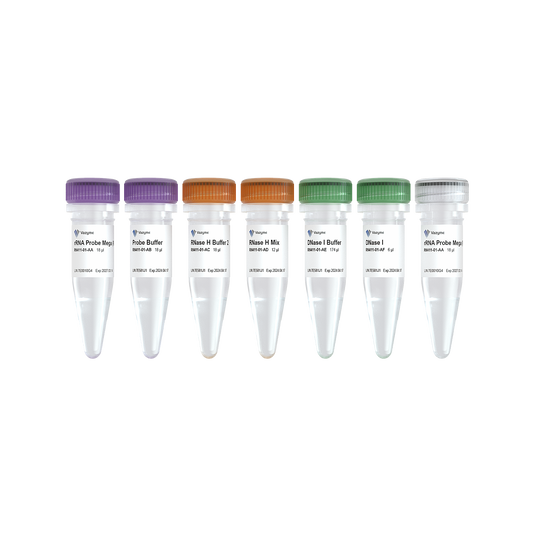 Ribo-clean rRNA Depletion Kit Mega (R/M)