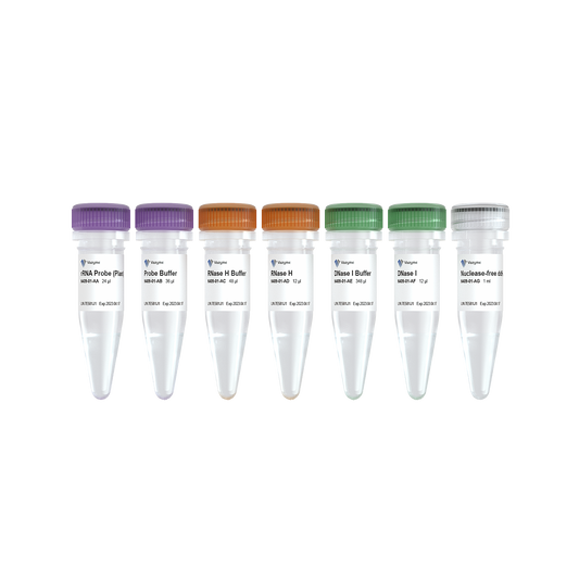 Ribo-off rRNA Depletion Kit (Plant)