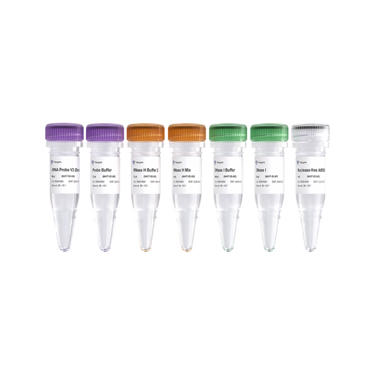 Ribo-off rRNA Depletion Kit V2 (Bacteria)