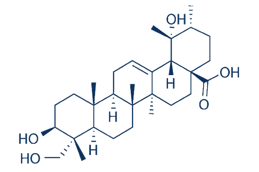 Rotundic acid
