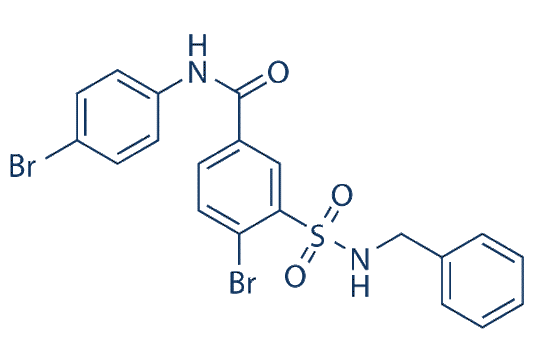 RS-1