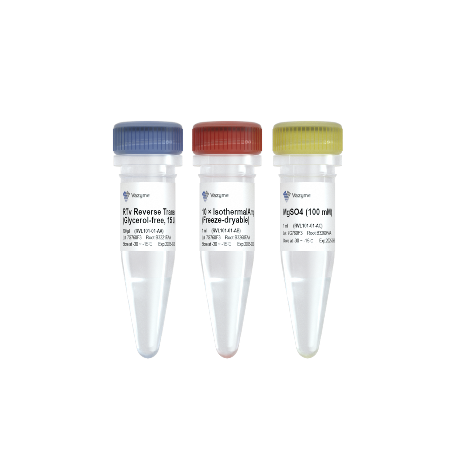 RTv Reverse Transcriptase (Glycerol-free)