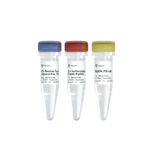 RTv Reverse Transcriptase (Glycerol-free)