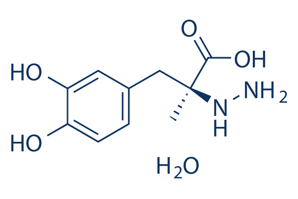 S (-)-Carbidopa
