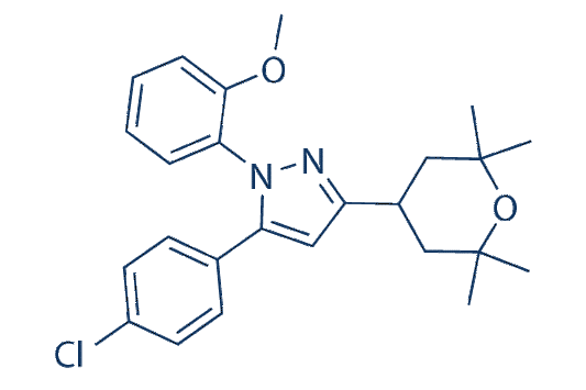 Cav 2.2 blocker 1