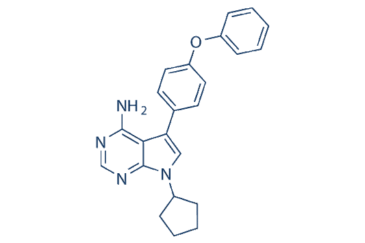 RK 24466