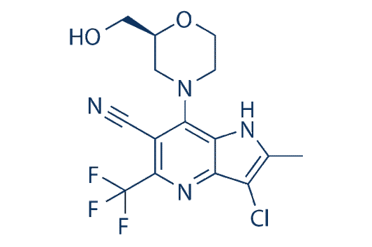PF-06869206