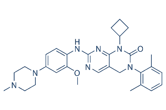 YKL 06-061