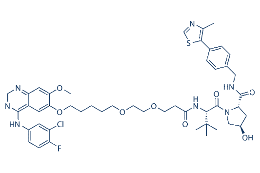 Gefitinib-based PROTAC 3