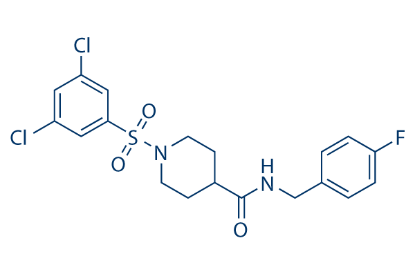BI 01383298