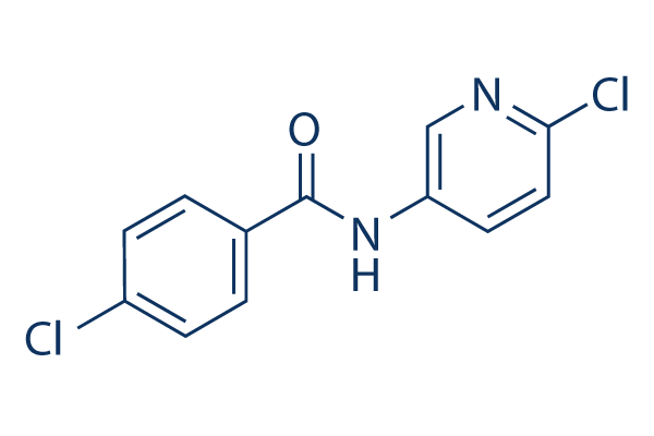 ICA-110381