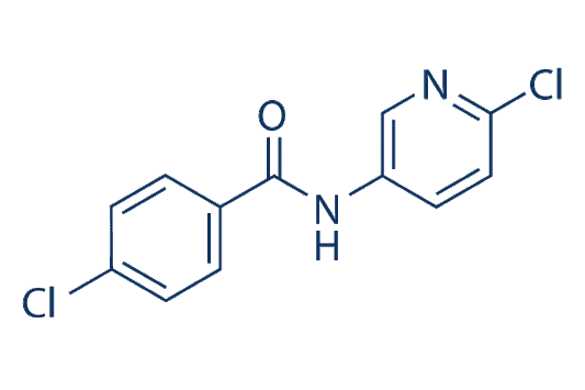 ICA-110381