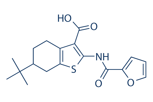 CaCCinh-A01