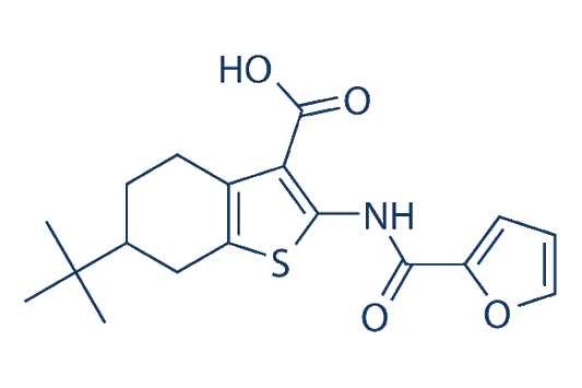 CaCCinh-A01