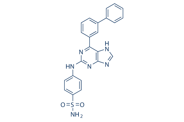 CDK2-IN-73 (CDK2-IN-4)