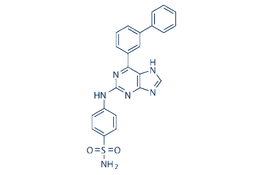 CDK2-IN-73 (CDK2-IN-4)