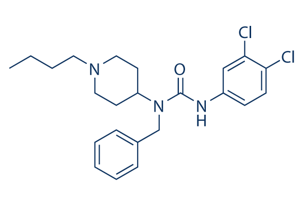 NAcM-OPT
