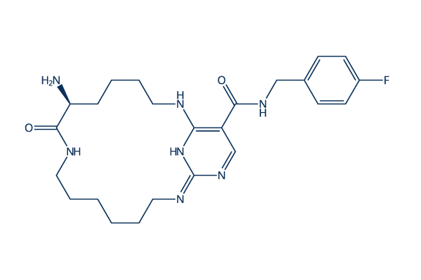 UNC2541