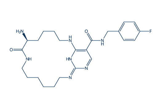 UNC2541