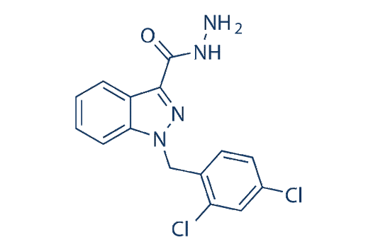 Adjudin