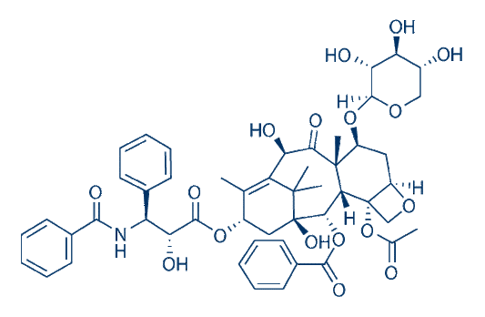 10-Deacetyl-7-xylosyl paclitaxel