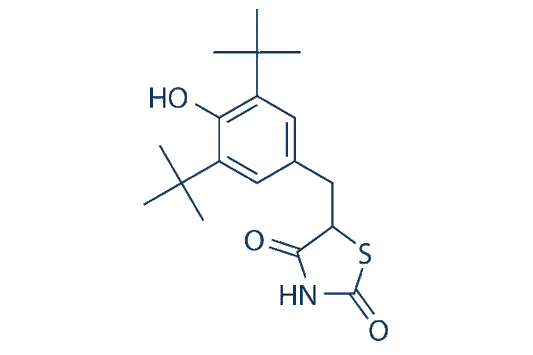 NL-1