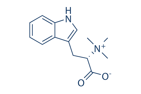 Hypaphorine