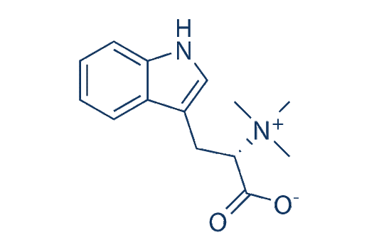 Hypaphorine