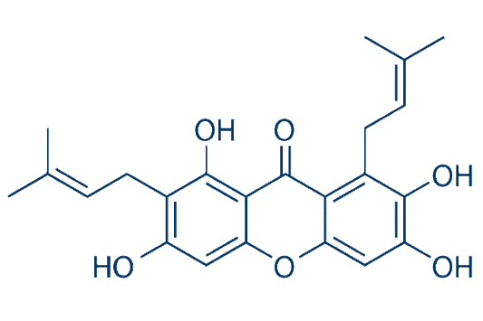 γ-Mangostin